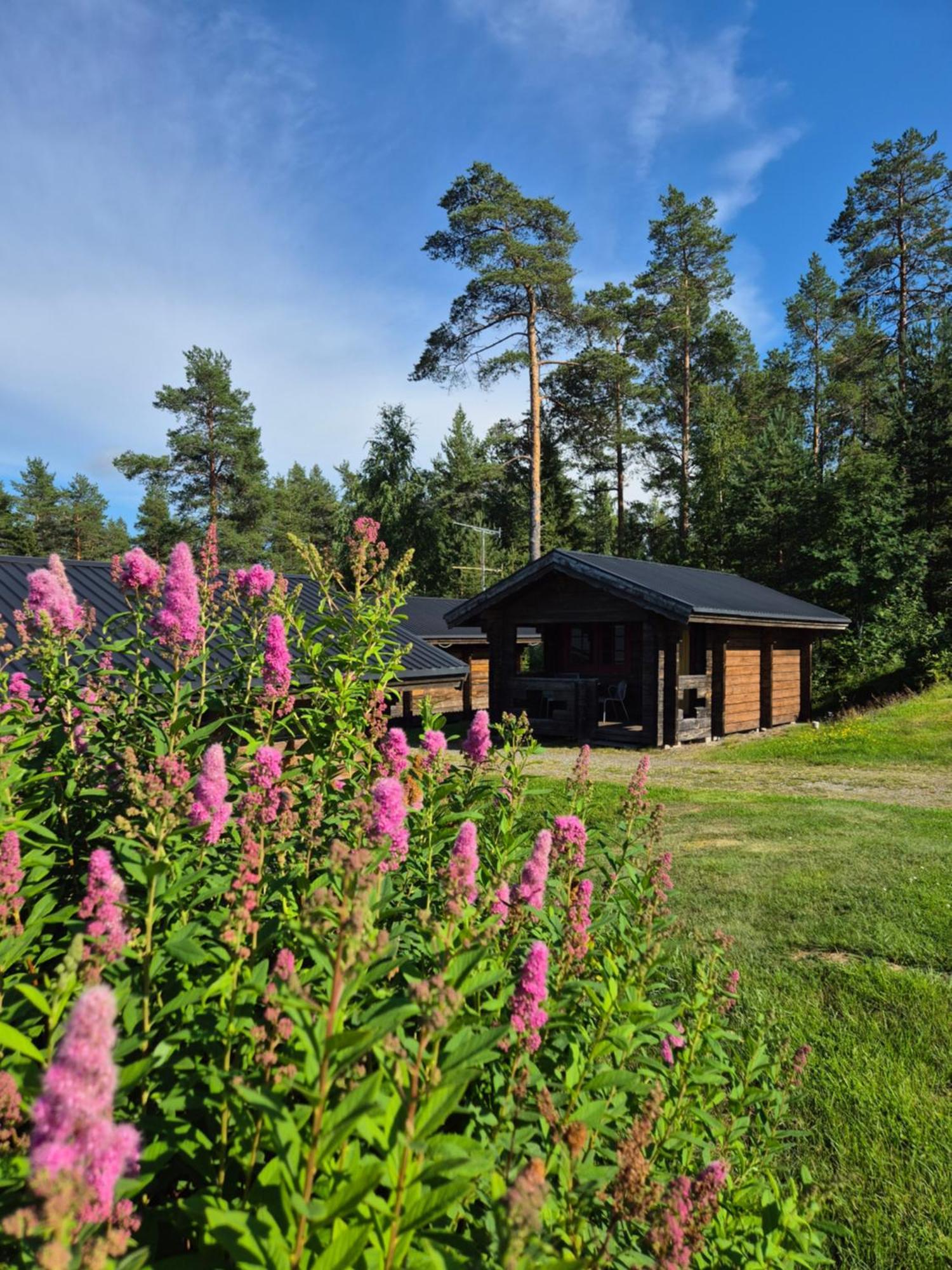 Lufta Camping & Restaurang Ånäset エクステリア 写真